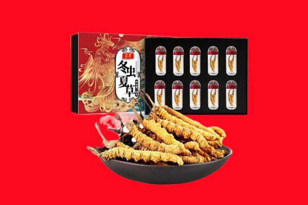 中山市火炬区回收虫草